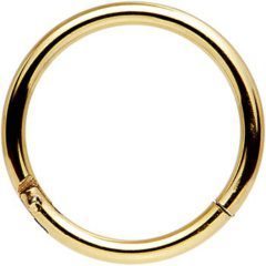 Gold Anodized Segment Rings: Gleaming Elegance for Stylish Piercings