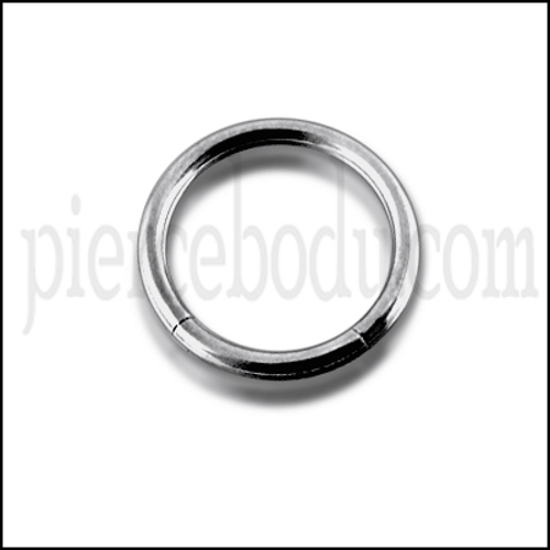 titanium segment rings