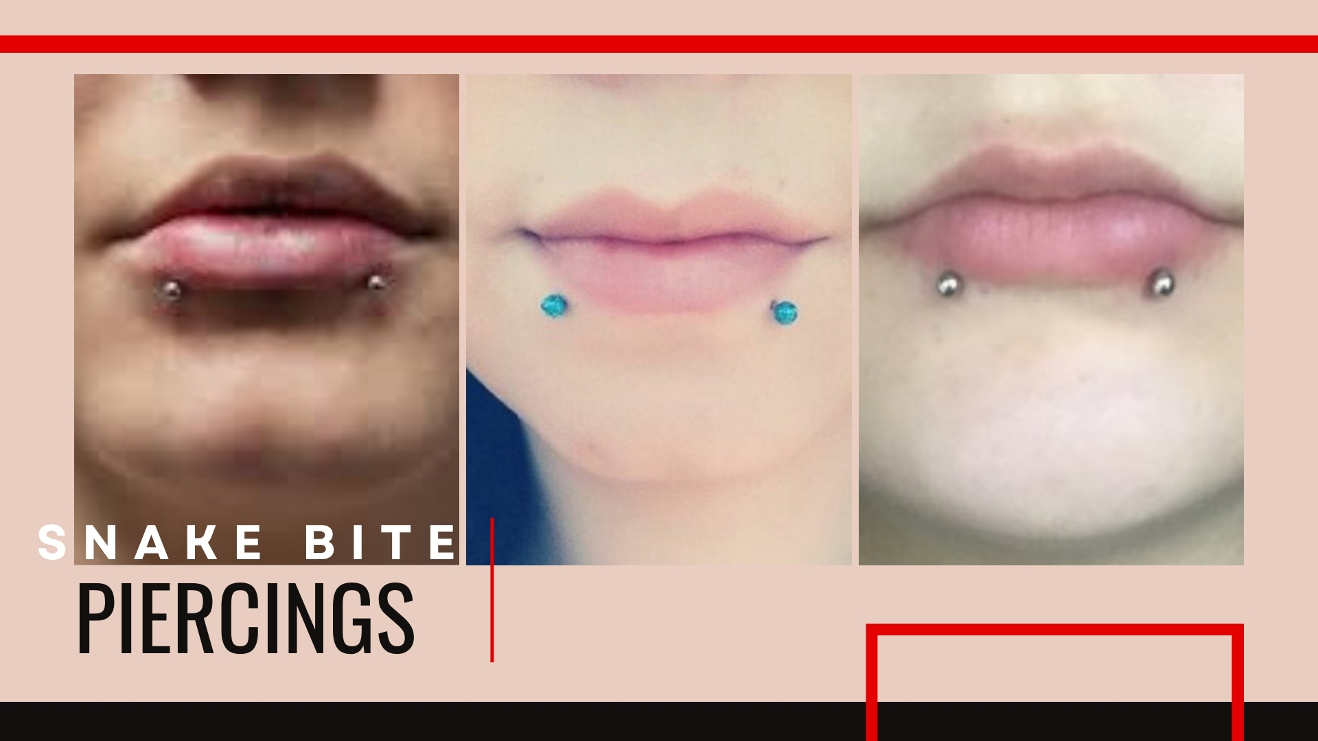 Guide for Snake Bite Lip Piercing