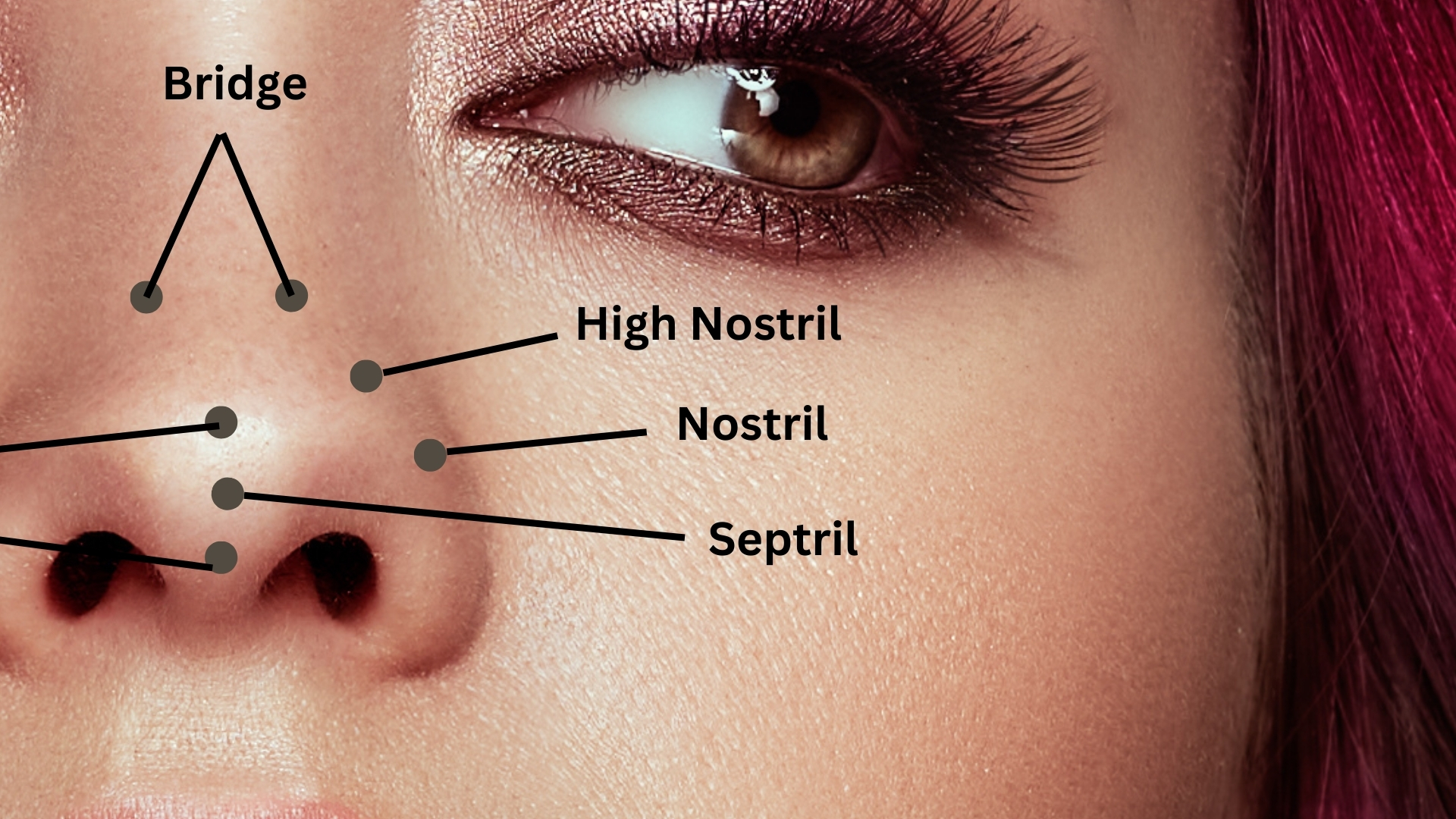 Nose Piercing Placement Diagram Explora Madeira Nose Piercing Placement Diagram Explora Madeira