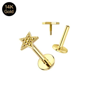 14K Gold Internally Threaded Star Screw Fit Labret Piercing