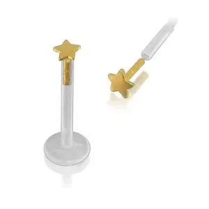 Bio-Plast Lip Labret with Star Shaped 14K Gold Head