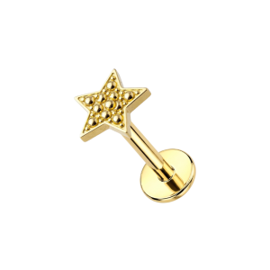 14K Gold Internally Threaded Star Screw Fit Labret Piercing