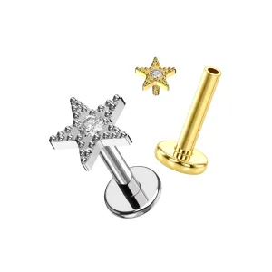 316L Surgical Steel Micro-Beaded Star Internally Threaded Labret in Plain and Gold PVD showing separate screw views (ETP129).