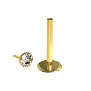 Surgical Steel Gold Anodized Madonna Labret with 2mm Internal Thread Top