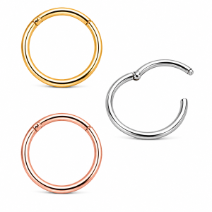 9K Gold Hinged Segment Clicker Ring in display box | Multiple Gauges & Sizes