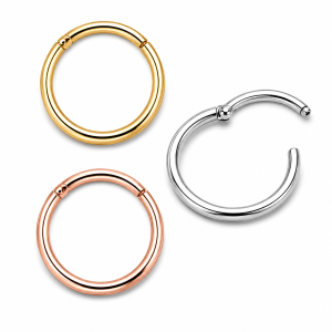 14K Gold Hinged Segment Clicker Ring in display box | Multiple Gauges & Sizes