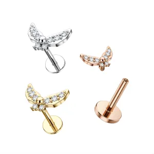 CZ Jeweled Butterfly Internally Threaded 316L Surgical Steel Screw Fit Tragus Piercing