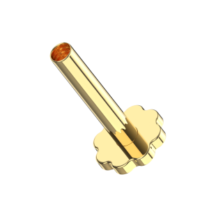 14K Solid Yellow Gold Internally Threaded Flower Flat Back Labret Post | 16G