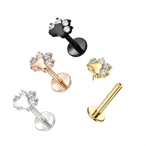 G23 Grade Titanium CZ Jeweled Animal Paw Tragus Top Push Fit With Flat Back Labret