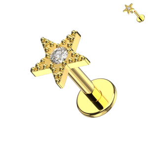 Complete 316L Surgical Steel Gold PVD Micro-Beaded Star Internally Threaded Labret with center CZ (ETP129).