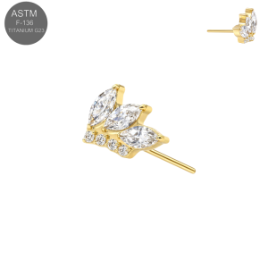 Gold PVD coated ASTM F-136 titanium marquise CZ butterfly cluster threadless piercing top TST188