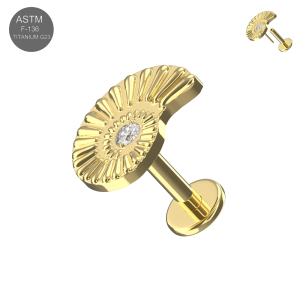 ASTM F-136 Titanium Gold PVD Nautilus Shell Threadless Labret Complete Set with Clear CZ (ETP220).