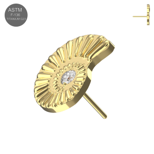 ASTM F-136 Titanium Gold PVD Nautilus Shell Threadless Top with Clear CZ Center (TST154)