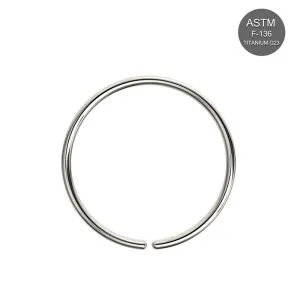 ASTM F-136 Implant Grade Titanium Classic Seamless Hoop Ring