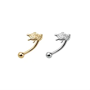 Tiny Turtle Eyebrow Ring