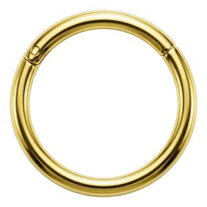 Hinged Segment Ring