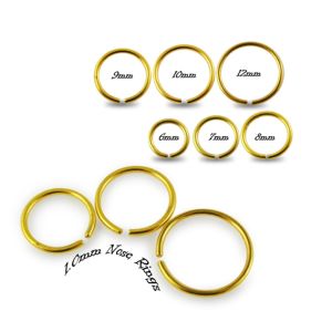 316L SS Anodized Gold Nose Ring
