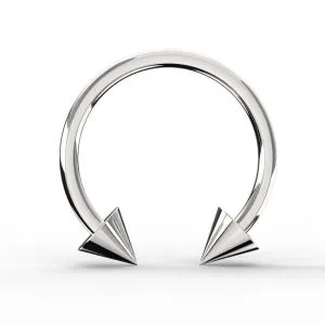 G23 Grade Titanium Circular Barbell with Cone