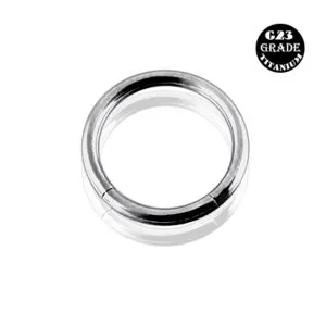G23 Grade Titanium Segment Ring